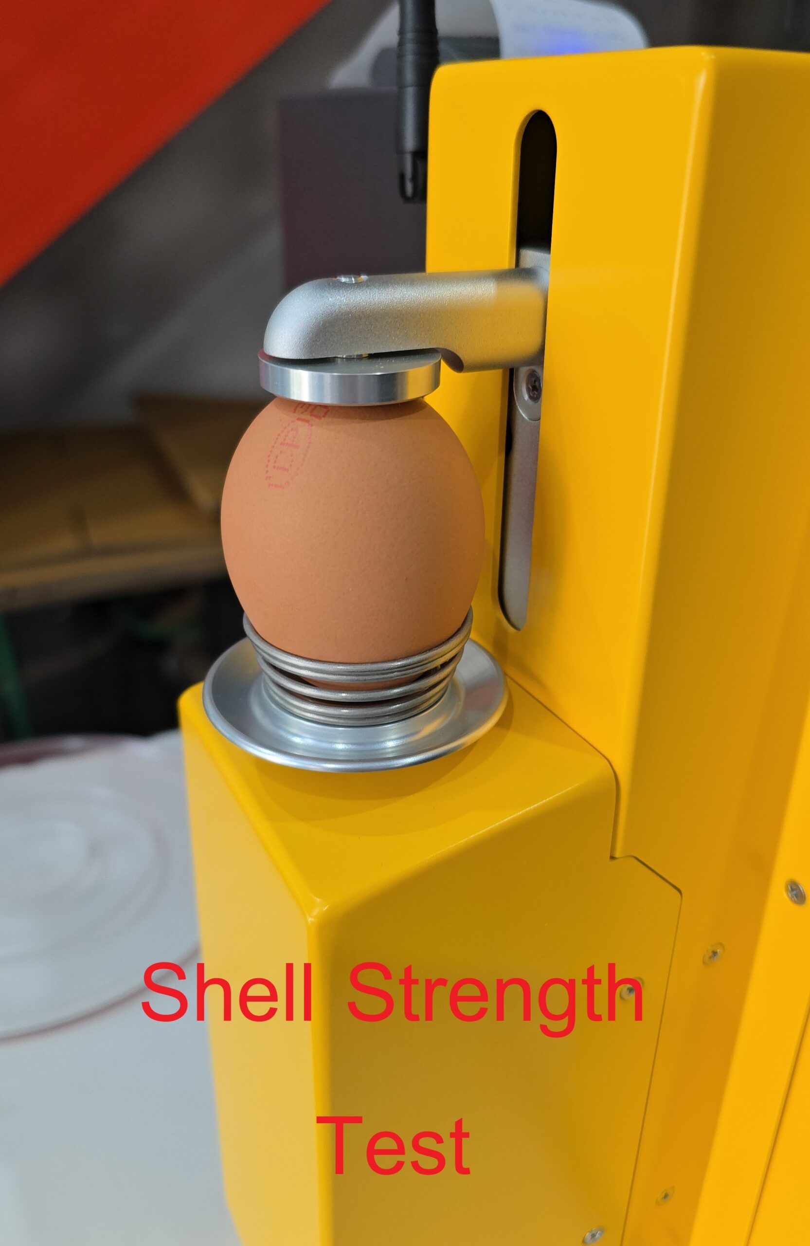 20250311_145643 Shell Strength